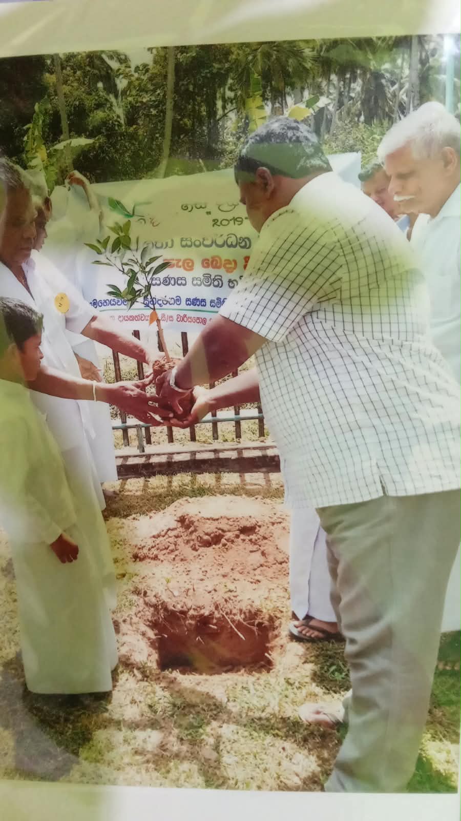 Plant Distribution Event